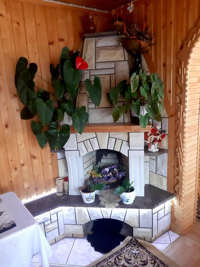 Отели типа «постель и завтрак» Pokoje u Heleny Leśnica-17